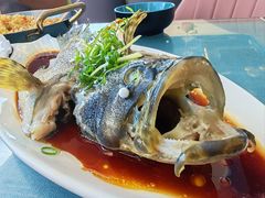 石斑鱼-阿龙海鲜农家乐·三亚老字号(海棠湾店)
