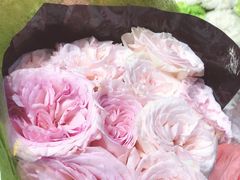 -双季花艺园艺市场(浦东店)