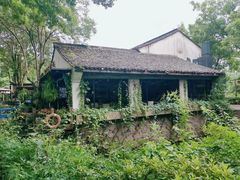 -西溪国家湿地公园