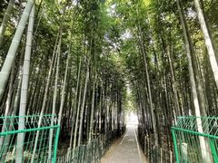 -树山生态村