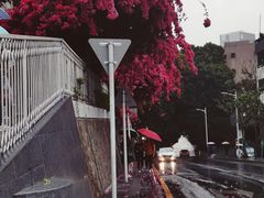 -小南山公园