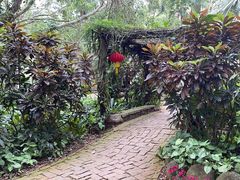 -海南热带野生动植物园
