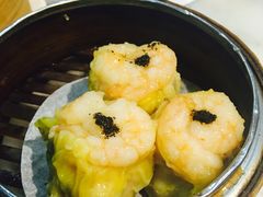 -糖朝(尖沙咀店)