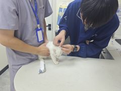 -贝康宠物医院·犬猫全科·小动物特色诊疗中心(东环路店)