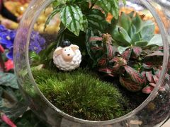 -AEON永旺(东方宝泰店)