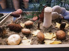 -番食园鲜食火锅(高新店)