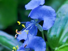 -火炉山森林公园