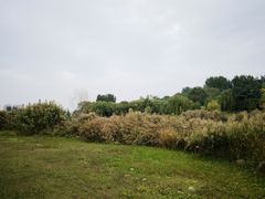 -Supine Bistro溯泮餐厅