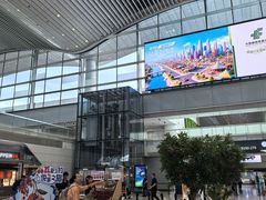 -广州白云国际机场-T2航站楼