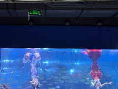 -重庆欢乐海底世界