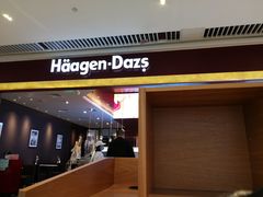 门面-哈根达斯(皇城恒隆广场店)