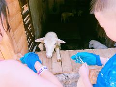 -HERRE·FARM 赫尔露营农场·团建聚会包场