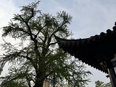 -虞山风景区