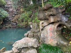 -十八棵（老龙井）御茶园(老龙井店)