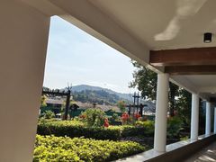 -河源万绿湖美思威尔顿酒店