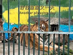 -广州动物园