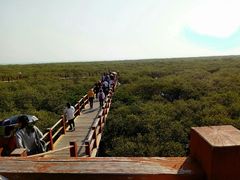 -北海金海湾红树林生态旅游区