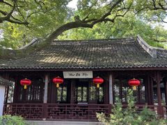 -上海醉白池公园