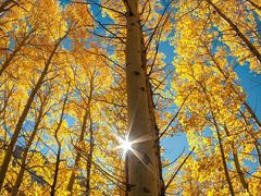 -西安长征华美达酒店