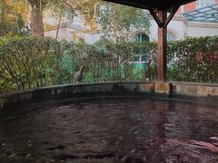-杭州第一世界大酒店·云曼温泉