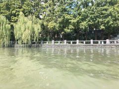 -运河游船(武林门码头)