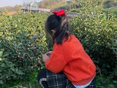 -南京金牛湖风景区