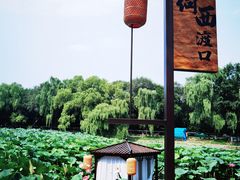 -北陵公园