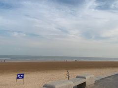 -日照海滨国家森林公园