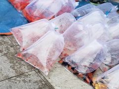 -华声天桥民俗文化园