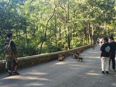 -黔灵山公园-南门售票处