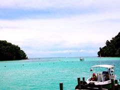 -东姑阿都拉曼海洋公园