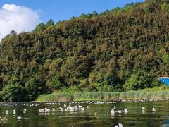 -丽江泸沽湖景区-里格半岛
