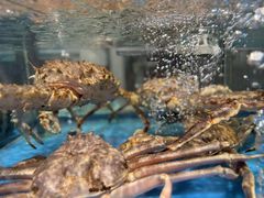 -海铺·渔家虾水饺(皇姑店)