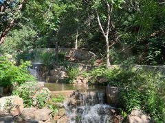 -北京西山国家森林公园