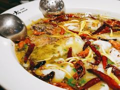 -太二酸菜鱼(广州IFC国金天地店)