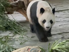 -泉州海丝野生动物世界