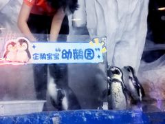 -太平洋海底世界