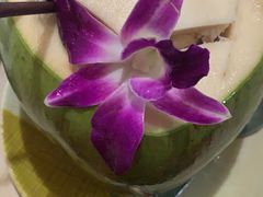 -Jungle Kitchen