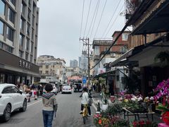 -溪岸路花鸟市场