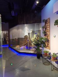 -未来动物城动物主题公园(大悦城店)