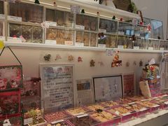 -珍妮曲奇聪明小熊(尖沙咀店)