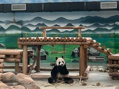 -柳州市动物园