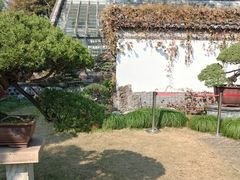 -水绘园