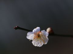 -尚贤河湿地