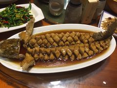 老醋松鼠鱼-醉长安(南门总店)