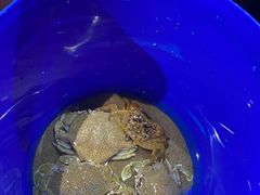 -六鳌翡翠湾滨海度假景区