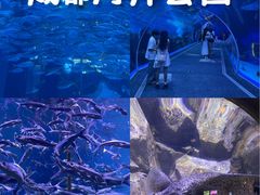 -成都浩海立方海洋公园