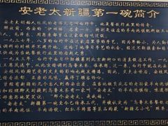 -安老太新疆第一碗(文艺路店)