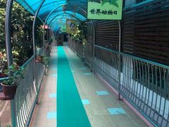 中大班部环境-广州市荔湾区协和幼儿园(彭城东路)