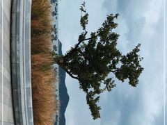 -海源公园